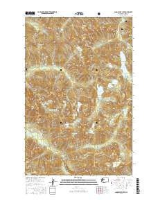 Snoqualmie Lake 2017 topographic map thumbnail