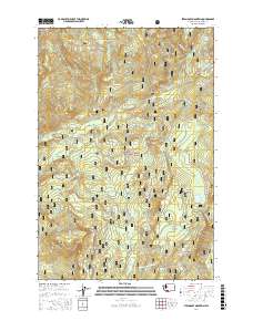 Steamboat Mountain 2017 topographic map thumbnail
