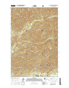 Stequaleho Creek 2017 topographic map thumbnail