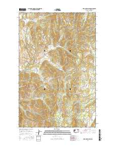 Wellington Peak 2017 topographic map thumbnail