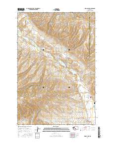 Wenas Lake 2017 topographic map thumbnail