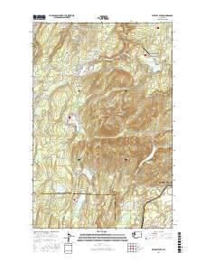 Wildcat Lake 2017 topographic map thumbnail
