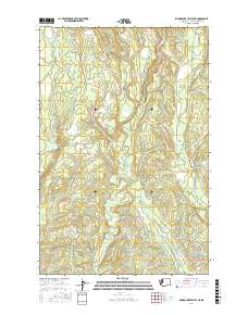 Wynoochee Valley NE 2017 topographic map thumbnail
