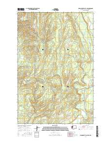 Wynoochee Valley NW 2017 topographic map thumbnail