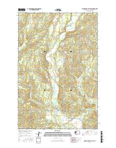 Wynoochee Valley SW 2017 topographic map thumbnail