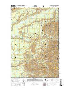 Salmon River East 2017 topographic map thumbnail