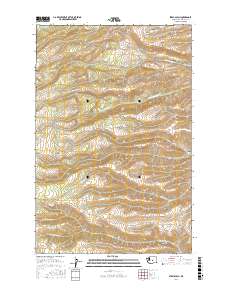 Stray Gulch 2017 topographic map thumbnail