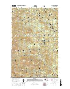 Tacoma Peak 2017 topographic map thumbnail