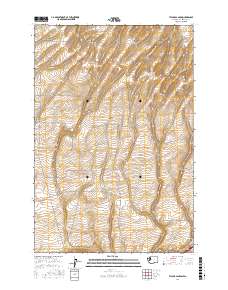 Taylor Canyon 2017 topographic map thumbnail