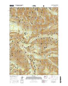 Mount Bruno 2017 topographic map thumbnail
