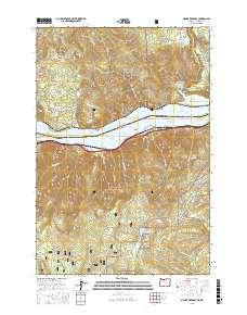 Mount Defiance 2017 topographic map thumbnail