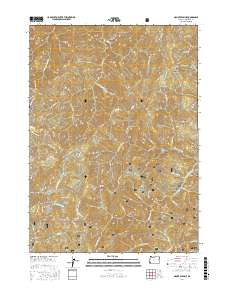 Mount Peavine 2017 topographic map thumbnail