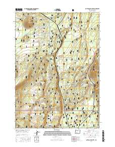 Muttonchop Butte 2017 topographic map thumbnail
