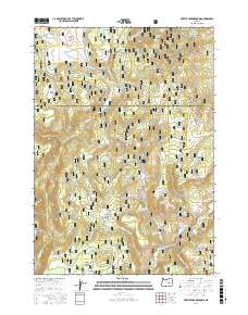 Myrtle Park Meadows 2017 topographic map thumbnail