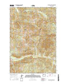 Necanicum Junction 2017 topographic map thumbnail