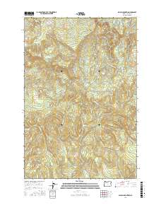 Nicolai Mountain 2017 topographic map thumbnail