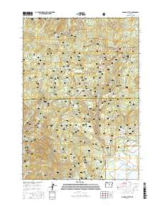 Ochoco Butte 2017 topographic map preview