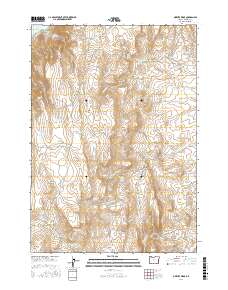 Owyhee Ridge 2017 topographic map thumbnail