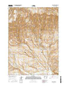 Payne Creek 2017 topographic map thumbnail