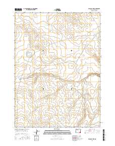 Peacock Lake 2017 topographic map thumbnail