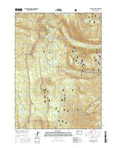Pelican Butte 2017 topographic map thumbnail