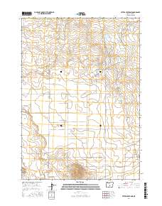 Peters Creek Sink 2017 topographic map thumbnail