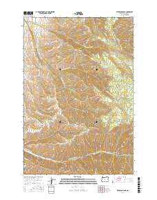 Peterson Ridge 2017 topographic map thumbnail