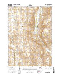 Petes Mountain 2017 topographic map thumbnail