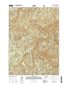 Pickett Butte 2017 topographic map thumbnail