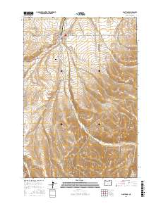 Pilot Rock 2017 topographic map thumbnail