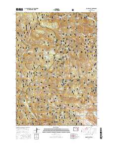 Pogue Point 2017 topographic map thumbnail
