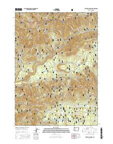 Potter Mountain 2017 topographic map thumbnail