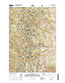 Rail Gulch 2017 topographic map thumbnail