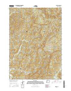 Remote 2017 topographic map thumbnail