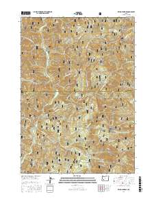 Reynolds Ridge 2017 topographic map thumbnail