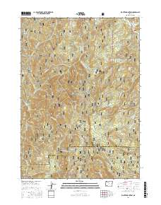 Richter Mountain 2017 topographic map thumbnail
