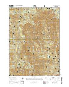 Rigdon Point 2017 topographic map preview