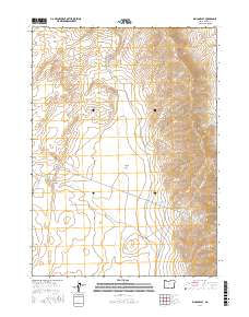 Rincon Flat 2017 topographic map thumbnail
