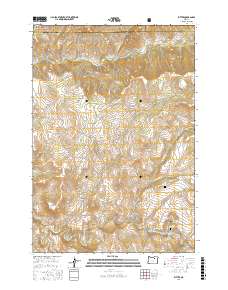 Ritter 2017 topographic map thumbnail