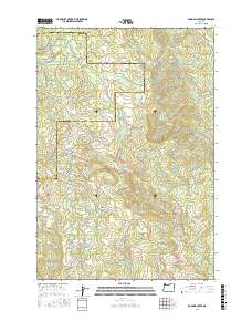 Roaring Creek 2017 topographic map thumbnail