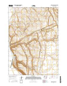 Roaring Springs 2017 topographic map thumbnail
