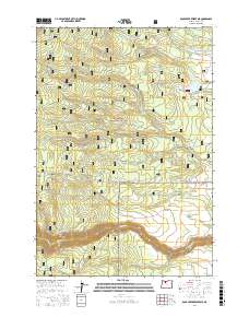 Rock Creek Reservoir 2017 topographic map thumbnail