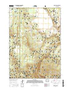 Rodman Rock 2017 topographic map thumbnail