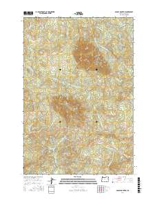 Saddle Mountain 2017 topographic map thumbnail