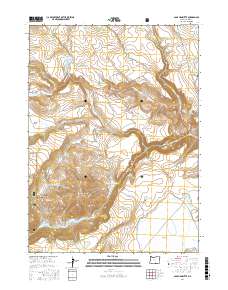 Sage Hen Butte 2017 topographic map thumbnail