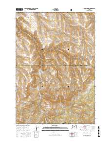 Salmon Fork 2017 topographic map thumbnail