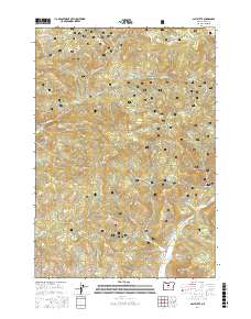 Salt Butte 2017 topographic map thumbnail