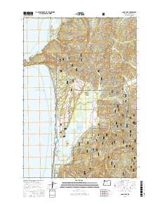 Sand Lake 2017 topographic map thumbnail