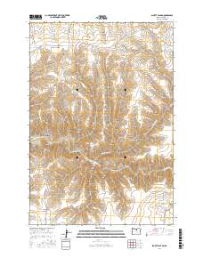 Schott Canyon 2017 topographic map thumbnail