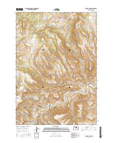 Service Creek 2017 topographic map thumbnail